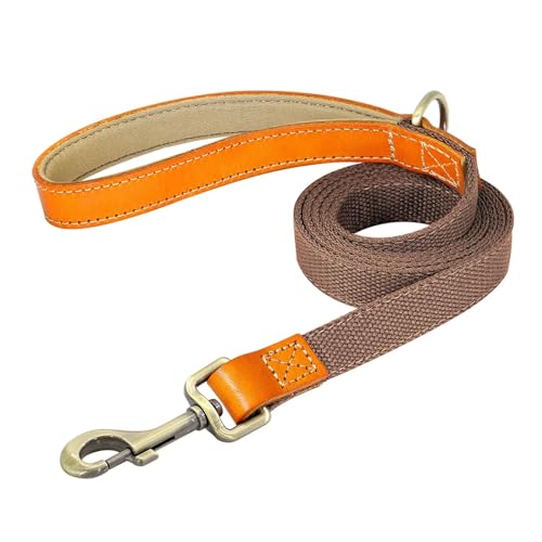 Personalisiertes Hundehalsband Echtleder Nylon Hundehalsband und Leine Set Langlebiges verstellbares ID-Halsband(Brown Leash,M) von HBJzxlOK