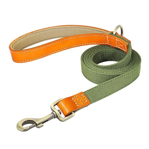 Personalisiertes Hundehalsband Echtleder Nylon Hundehalsband und Leine Set Langlebiges verstellbares ID-Halsband(Green Leash,M) von HBJzxlOK