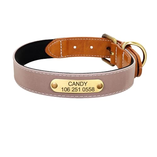 Personalisiertes Hundehalsband Leder gepolstert Haustier ID Halsband graviert Welpenhalsband reflektierend(Coffee,S) von HBJzxlOK
