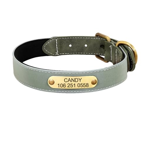 Personalisiertes Hundehalsband Leder gepolstert Haustier ID Halsband graviert Welpenhalsband reflektierend(Green 2,XL) von HBJzxlOK