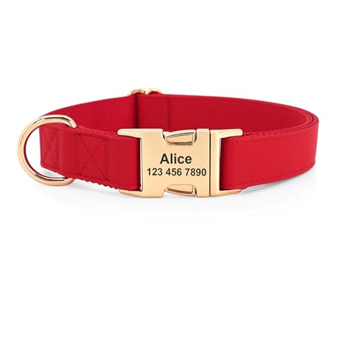 Personalisiertes Hundehalsband PU-Leder Haustierhalsband und Leine Set Halskette Personalisierter ID-Name(Red Collar,M) von HBJzxlOK