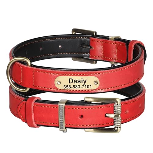 Personalisiertes Hundehalsband aus Leder, Anti-Lost-Halsband mit individuell graviertem Namen, Haustier-Halskette(Red 2,XL) von HBJzxlOK