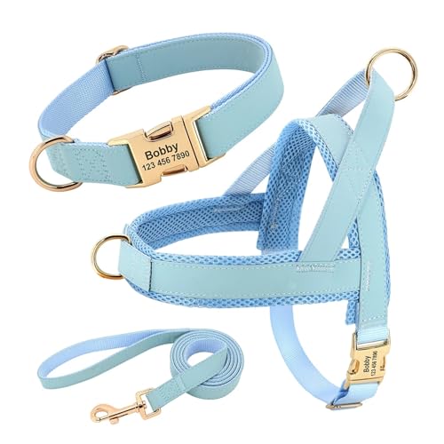Personalisiertes Hundehalsband aus Leder, Hundegeschirr, Hundeleine, Hundeleine, Hundeleine, Hundeleine, Hundeleine, Hundeleine, Hundeleine(3 Blue Set,XS) von HBJzxlOK
