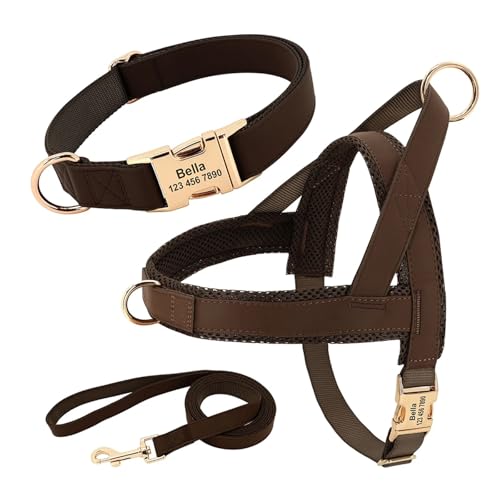 Personalisiertes Hundehalsband aus Leder, Hundegeschirr, Hundeleine, Hundeleine, Hundeleine, Hundeleine, Hundeleine, Hundeleine, Hundeleine(3 Brown Set,S) von HBJzxlOK