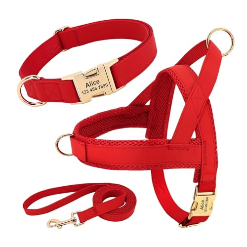 Personalisiertes Hundehalsband aus Leder, Hundegeschirr, Hundeleine, Hundeleine, Hundeleine, Hundeleine, Hundeleine, Hundeleine, Hundeleine(3 Red Set,XS) von HBJzxlOK
