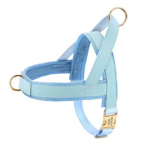 Personalisiertes Hundehalsband aus Leder, Hundegeschirr, Hundeleine, Hundeleine, Hundeleine, Hundeleine, Hundeleine, Hundeleine, Hundeleine(Blue,XL) von HBJzxlOK