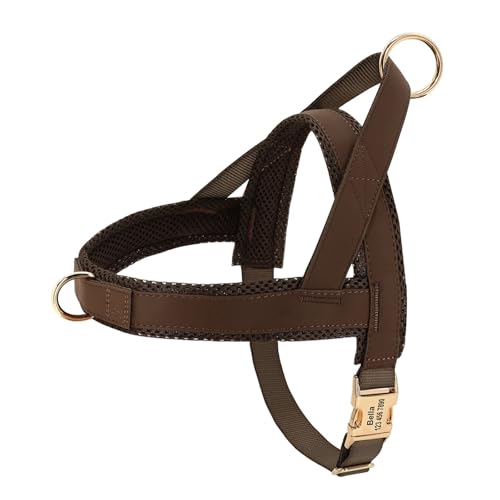 Personalisiertes Hundehalsband aus Leder, Hundegeschirr, Hundeleine, Hundeleine, Hundeleine, Hundeleine, Hundeleine, Hundeleine, Hundeleine(Blue 2,M) von HBJzxlOK