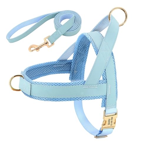 Personalisiertes Hundehalsband aus Leder, Hundegeschirr, Hundeleine, Hundeleine, Hundeleine, Hundeleine, Hundeleine, Hundeleine, Hundeleine(Blue Set,S) von HBJzxlOK