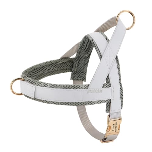 Personalisiertes Hundehalsband aus Leder, Hundegeschirr, Hundeleine, Hundeleine, Hundeleine, Hundeleine, Hundeleine, Hundeleine, Hundeleine(Gray 4,XL) von HBJzxlOK