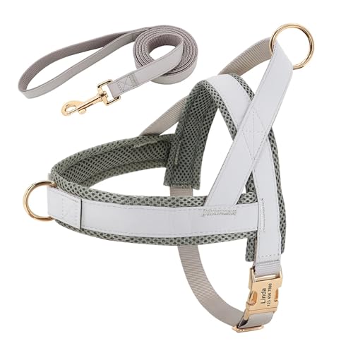 Personalisiertes Hundehalsband aus Leder, Hundegeschirr, Hundeleine, Hundeleine, Hundeleine, Hundeleine, Hundeleine, Hundeleine, Hundeleine(Gray Set,XS) von HBJzxlOK
