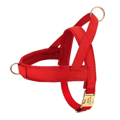 Personalisiertes Hundehalsband aus Leder, Hundegeschirr, Hundeleine, Hundeleine, Hundeleine, Hundeleine, Hundeleine, Hundeleine, Hundeleine(Red 2,M) von HBJzxlOK