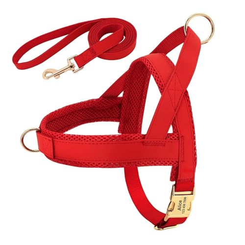 Personalisiertes Hundehalsband aus Leder, Hundegeschirr, Hundeleine, Hundeleine, Hundeleine, Hundeleine, Hundeleine, Hundeleine, Hundeleine(Red Set,XS) von HBJzxlOK
