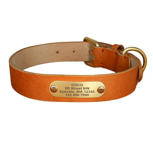 Personalisierte Hundehalsbänder aus Leder Hundehalsbänder aus Leder Individuelle Haustier-ID-Halsbänder mit eingraviertem Namen(Yellow 1,L) von HBJzxlOK