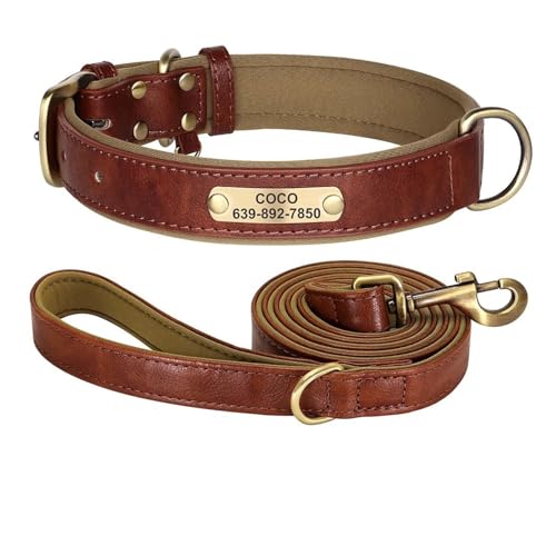 Personalisiertes Hundehalsband-Leine-Set aus Leder, gepolstertes Hundehalsband mit Hundeleine(Blue 2,L) von HBJzxlOK