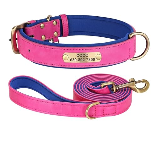 Personalisiertes Hundehalsband-Leine-Set aus Leder, gepolstertes Hundehalsband mit Hundeleine(Rose,XS) von HBJzxlOK