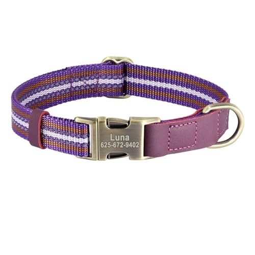 Personalisiertes Hundeidentifikationshalsband PU-Leder Hundeschnallenhalsband Gepolstertes Haustieridentifikationshalsband(Black 4,L) von HBJzxlOK