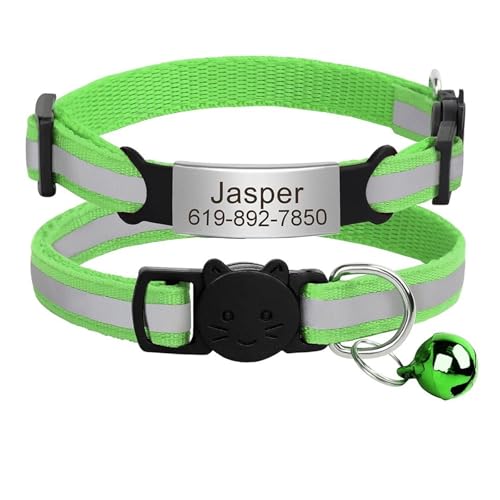 Personalisiertes Katzenhalsband mit ID-Gravur, reflektierendes Sicherheitshalsband mit Schnalle, verstellbar, benutzerdefiniertes Nylon(C-Lgreen-Silver) von HBJzxlOK