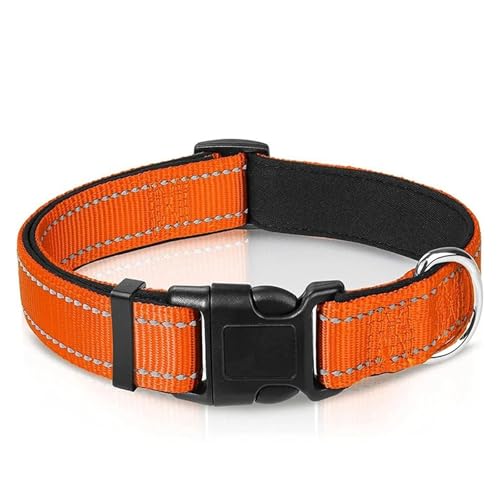 Reflektierendes Hundehalsband. Robustes, verstellbares Haustierhalsband.(Black 2,M) von HBJzxlOK