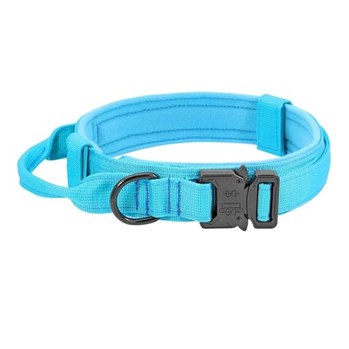 Robustes taktisches Hundehalsband- und Leinenset, verstellbares Haustierhalsband(Blue,M) von HBJzxlOK