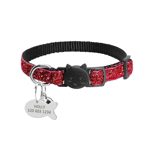 Schnellverschluss-Halsbandanhänger-Halsband-Set Wunderschöne personalisierte Nylonhalsbandgravur(Red 2) von HBJzxlOK
