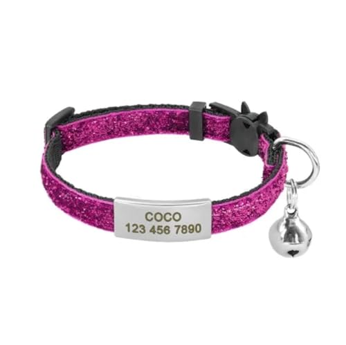 Schnellverschluss-Halsbandanhänger-Halsband-Set Wunderschöne personalisierte Nylonhalsbandgravur(Rose 2) von HBJzxlOK