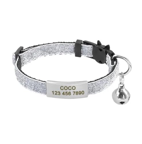 Schnellverschluss-Halsbandanhänger-Halsband-Set Wunderschöne personalisierte Nylonhalsbandgravur(Silver 2) von HBJzxlOK