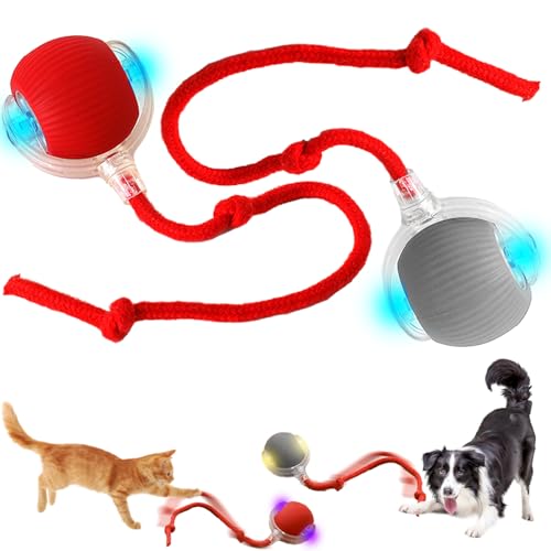 Chewie Rolling Ball,2pcs Interactive Cat Toys Rolling Ba-ll,Interaktives Katzenspielzeug Katzenball,Smart Automatisch Rollender Ball,Katzenspielzeug Elektrisch mit USB Aufladbar für Katzen Hunde (M1) von HBSFBH