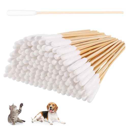 HBYMYDA 100 Stück Wattestäbchen für Hunde, Lange Wattestäbchen Ohrreiniger für Haustiere, Hunde Ohrreinigungsstäbchen für Haustiere Hund, Katze (15 cm) von HBYMYDA