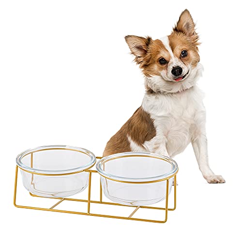 Futternapf Katze Glas Katzennapf Erhöht - Doppel Hundenapf - Katzennäpfe Hundenäpfe mit Goldenem Eisenständer - Napf Katze Fressnapf Hund - Futter Wasser Napfset für Katzen und Welpen - 480ml x 2 von HCHLQLZ