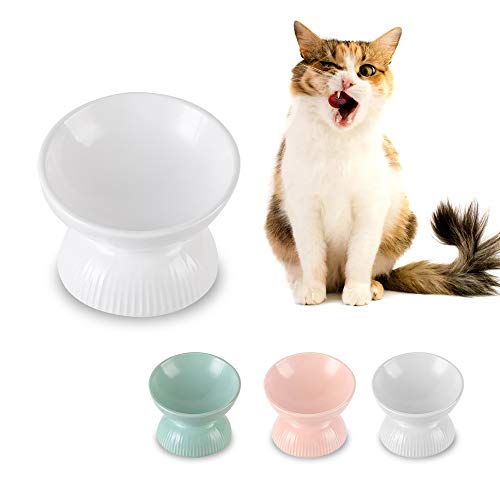 Katzennapf Keramik Futternapf Katze Erhöht - Anti Erbrechen Fressnapf Katze mit 15° Neigung Design - 12,3 cm Katzenfutter Napf Katze Klein - Futternäpfe für Katzen Essen Schale - Katzennäpfe - 125 ml Katzennapf Keramik Futternapf Katze Erhöht - Anti Erbrechen Fressnapf Katze mit 15° Neigung Design - 12,3 cm Katzenfutter Napf Katze Klein - Futternäpfe für Katzen Essen Schale - Katzennäpfe - 125 ml von HCHLQLZ