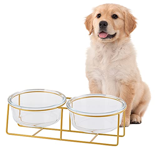 Hundenapf Glas Futternapf Hund Erhöht - Doppel Napf Katze Fressnapf Hund - Hundenäpfe mit Goldenem Eisenständer - Futter Wasser Napfset für Kleine bis Mittlere Hunde und Große Katzen - 800ml x 2 von HCHLQLZ