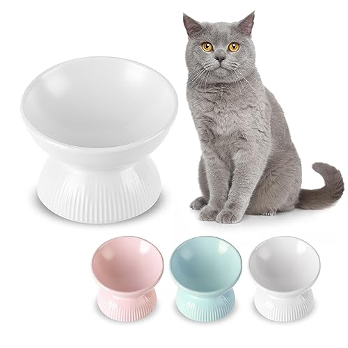 Katzennapf Erhöht Futternapf Katze Keramik - Extra Breiter Fressnapf Katze mit Neigung Design - Napf Katze Hoch Anti Erbrechen - Katzennäpfe Porzellan - Katzenfutter Napf - Futterschale Katze - 260 ml von HCHLQLZ