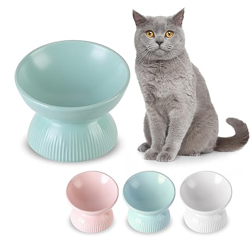 Katzennapf Erhöht Futternapf Katze Keramik - Extra Breiter Fressnapf Katze mit Neigung Design - Napf Katze Hoch Anti Erbrechen - Katzennäpfe Porzellan - Katzenfutter Napf - Futterschale Katze - 260 ml von HCHLQLZ