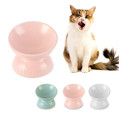 Katzennapf Keramik Futternapf Katze Erhöht - Anti Erbrechen Fressnapf Katze mit 15° Neigung Design - 12,3 cm Katzenfutter Napf Katze Klein - Futternäpfe für Katzen Essen Schale - Katzennäpfe - 125 ml Katzennapf Keramik Futternapf Katze Erhöht - Anti Erbrechen Fressnapf Katze mit 15° Neigung Design - 12,3 cm Katzenfutter Napf Katze Klein - Futternäpfe für Katzen Essen Schale - Katzennäpfe - 125 ml von HCHLQLZ