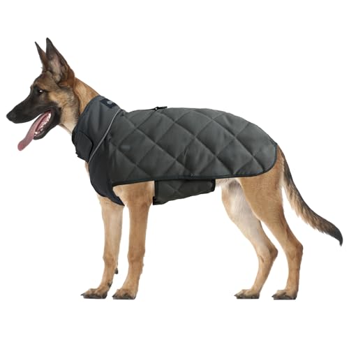 HCHYEY Gewichtete Hundeweste, taktischer Hundemantel mit Perlen gegen Angst, lindert Stress, Muskelaufbau und Optimierung der Gesundheit, hochwertige, robuste Hundetrainingsjacke für Bewegung und HCHYEY Gewichtete Hundeweste, taktischer Hundemantel mit Perlen gegen Angst, lindert Stress, Muskelaufbau und Optimierung der Gesundheit, hochwertige, robuste Hundetrainingsjacke für Bewegung und von HCHYEY