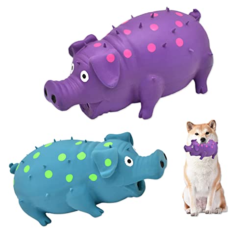 HCHYEY Quietschendes Hundespielzeug, 2 Stück, interaktives Gummi-Schweine-Hundespielzeug – langlebiges Latex-Punkt-Grunting Schweine-Hundespielzeug, mittelgroße und große Hunde (blau, lila) von HCHYEY