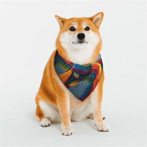 Haustier-Schal, buntes Federn, stilvolles Dreiecks-Halstuch, Bandana, Haustierzubehör, waschbares Haustier-Halstuch für Mädchen, Jungen, Hunde oder Katzen, Größe M von HCVXBSA