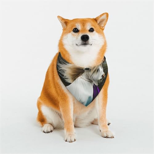 Hybrid-Tier-Schal, stilvolles Dreiecks-Halstuch, Bandana, Haustierzubehör, waschbares Haustier-Halstuch für Mädchen, Jungen, Hunde oder Katzen, Größe L Hybrid-Tier-Schal, stilvolles Dreiecks-Halstuch, Bandana, Haustierzubehör, waschbares Haustier-Halstuch für Mädchen, Jungen, Hunde oder Katzen, Größe L von HCVXBSA