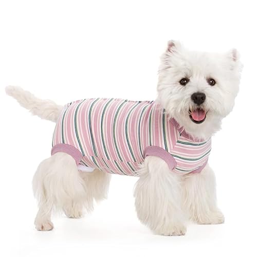 Hunde-Chirurgie-Genesungsanzug, Welpen-Kegel-Alternative nach Operationen, Haustier-Erholungs-Shirt, verhindert Lecken, Spay-Anzug für weibliche und männliche Hunde von HDAKDDHG