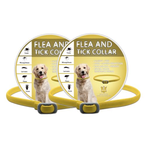 Hundehalsbänder 2 Pack - Verstellbare Hundehalsbänder für Hunde, Wasserabweisend für Welpen Kleine Mittlere Große Hunde Mit 6 Monaten Schutz Hundehalsbänder 2 Pack - Verstellbare Hundehalsbänder für Hunde, Wasserabweisend für Welpen Kleine Mittlere Große Hunde Mit 6 Monaten Schutz von HDAKDDHG