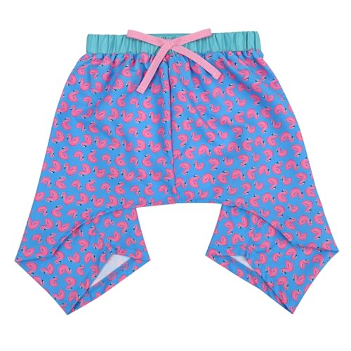 HDE Hunde-Badehose, hawaiianische Board-Shorts, Strand, Pool, Badeanzug für S bis XXL, Flamingos, Größe L von HDE