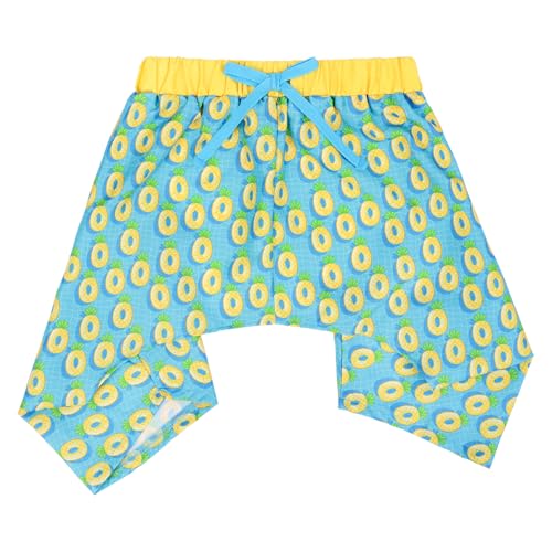 HDE Hunde-Badehose, hawaiianische Board-Shorts, Strandpool, Badeanzug für XS bis XXL, Ananas-Schwimmer, Größe L HDE Hunde-Badehose, hawaiianische Board-Shorts, Strandpool, Badeanzug für XS bis XXL, Ananas-Schwimmer, Größe L von HDE