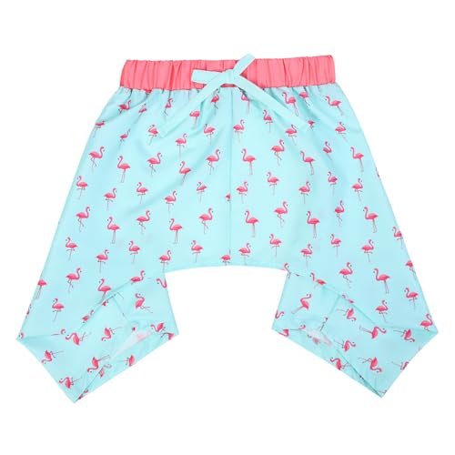 HDE Hunde-Badehose, hawaiianische Boardshorts, Strandpool, Badeanzug für XS bis XXL, Hundeparty wie ein Flockstern – Größe XL HDE Hunde-Badehose, hawaiianische Boardshorts, Strandpool, Badeanzug für XS bis XXL, Hundeparty wie ein Flockstern – Größe XL von HDE