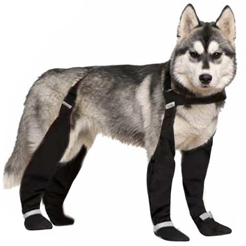 Hundestiefel mit Hosenträgern, Wasserdichten Hundepfotenschutz, Anti-Schlupf-Hundehundschuhen für regnerische und schneebedeckte Tage (M) von HDFXNCXFC