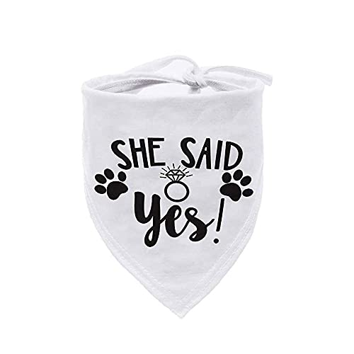 HDGDT She Said Yes Hundehalstuch, Hochzeits-Hunde-Halstuch, Hunde-Verlobungsankündigung, Hochzeits-Foto-Requisite, Haustier-Halstuch, Haustier-Zubehör HDGDT She Said Yes Hundehalstuch, Hochzeits-Hunde-Halstuch, Hunde-Verlobungsankündigung, Hochzeits-Foto-Requisite, Haustier-Halstuch, Haustier-Zubehör von HDGDT