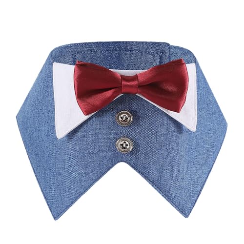Hunde-Anzug, Smoking, Halstuch, Halsband mit Fliege (Blau, Größe M) von HDGDT