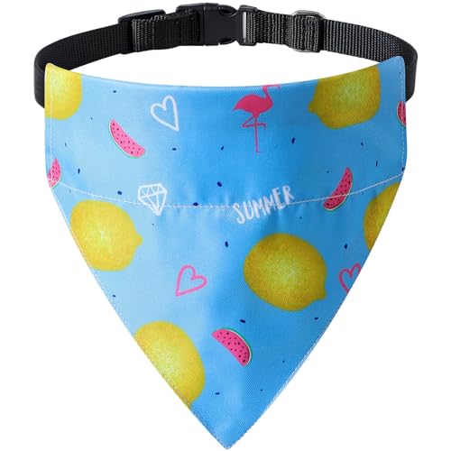Sommer-Hundehalstuch, Blau, Größe L Sommer-Hundehalstuch, Blau, Größe L von HDGDT
