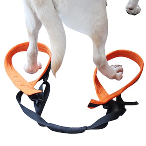 HDKEAN Postoperativer Rehabilitationsgurt für Hunde, für Genesung, Behinderung, Beinbandage, hilft beim Spazierengehen HDKEAN Postoperativer Rehabilitationsgurt für Hunde, für Genesung, Behinderung, Beinbandage, hilft beim Spazierengehen von HDKEAN
