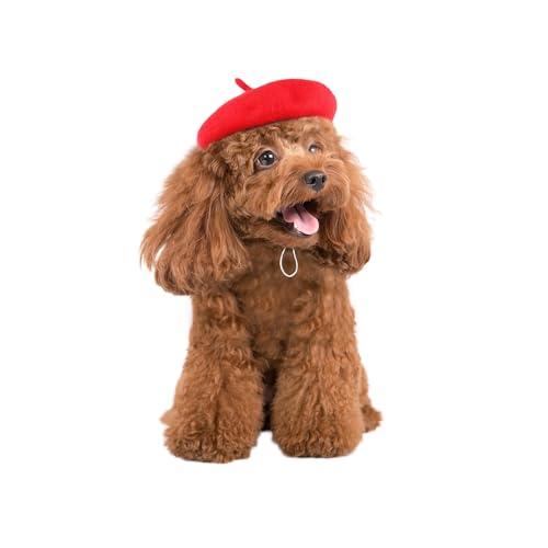 HDKUW Baskenmütze für Hunde und Katzen, mit verstellbarem Gummiband, Welpenkostüm, Haarzubehör, Foto-Requisiten, Haustierhut für Katzen, kleine, mittelgroße und große Hunde, Rot HDKUW Baskenmütze für Hunde und Katzen, mit verstellbarem Gummiband, Welpenkostüm, Haarzubehör, Foto-Requisiten, Haustierhut für Katzen, kleine, mittelgroße und große Hunde, Rot von HDKUW