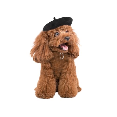 HDKUW Baskenmütze für Hunde und Katzen, mit verstellbarem Gummiband, Welpenkostüm, Haarzubehör, Foto-Requisiten, Haustierhut für Katzen, kleine, mittelgroße und große Hunde, Schwarz HDKUW Baskenmütze für Hunde und Katzen, mit verstellbarem Gummiband, Welpenkostüm, Haarzubehör, Foto-Requisiten, Haustierhut für Katzen, kleine, mittelgroße und große Hunde, Schwarz von HDKUW